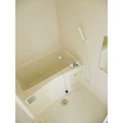 アムール Yukiのサムネイル