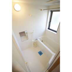 アムール germerのサムネイル