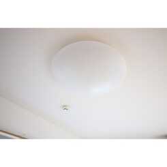 アムール 新町のサムネイル