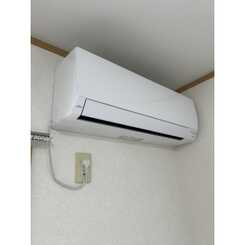 アムール Teaのサムネイル