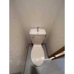 アムール Teaのサムネイル