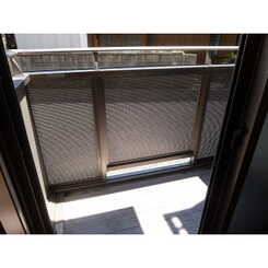 アムール T・Mのサムネイル