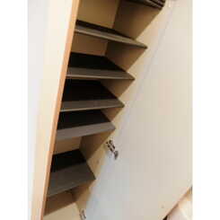 アムール T・Mのサムネイル