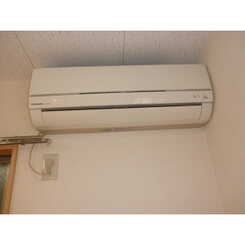 アムール 大翔のサムネイル