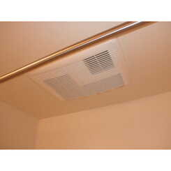 アムール 大翔のサムネイル