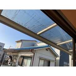 アムール 大翔のサムネイル