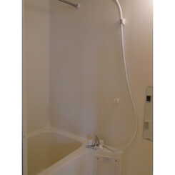 アムール アムールのサムネイル