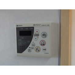 アムール アムールのサムネイル