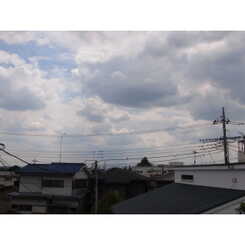 アムール アムールのサムネイル