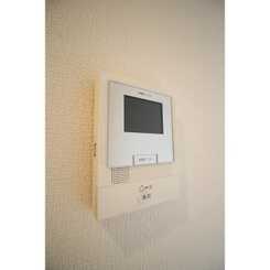 アムール アムールのサムネイル