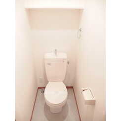 アムール サンコーのサムネイル