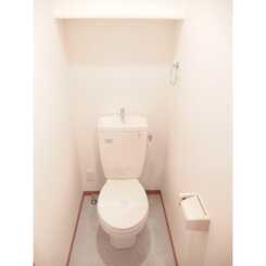 アムール サンコーのサムネイル