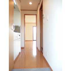 アムール サンコーのサムネイル