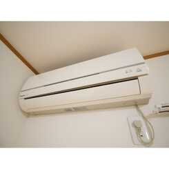 アムール サンコーのサムネイル