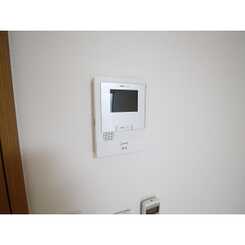 アムール サンコーのサムネイル