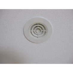 アムール KEISHIのサムネイル