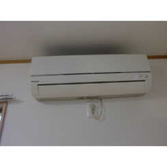 アムール 南街のサムネイル