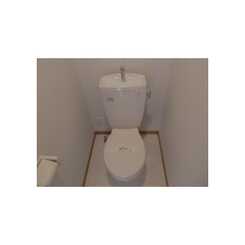 アムール 矢澤のサムネイル