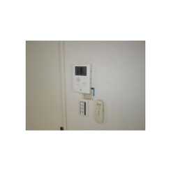 アムール マレのサムネイル