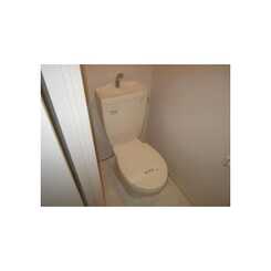 アムール マレのサムネイル