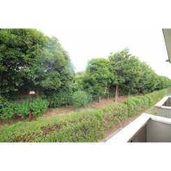 アムール エフ 弐番館のサムネイル