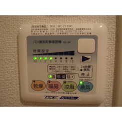 アムール シュシュのサムネイル