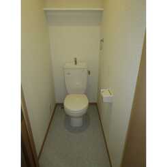 アムール CATSのサムネイル