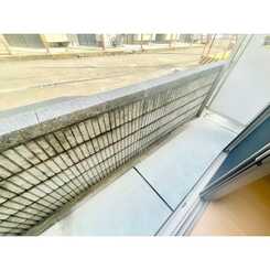 アムール 諸福Aのサムネイル