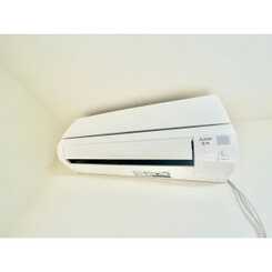 アムール 諸福Aのサムネイル