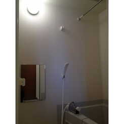 アムール Hillsのサムネイル