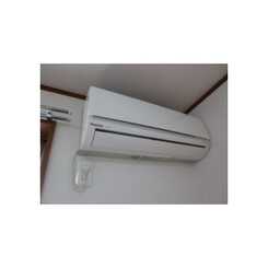 アムール Hillsのサムネイル