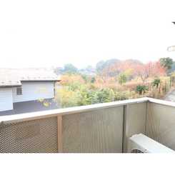 アムール シュシュⅡのサムネイル