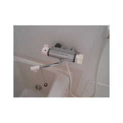 アムール シュシュⅡのサムネイル