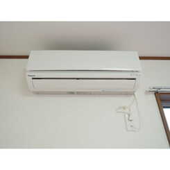 アムール グリーンのサムネイル