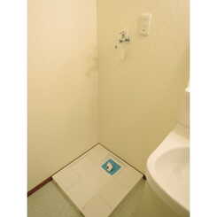 アムール グリーンのサムネイル