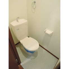 アムール グリーンのサムネイル