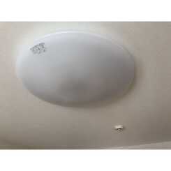 アムール ガレットのサムネイル