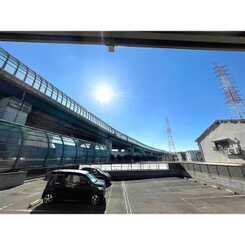 アムール ロータスのサムネイル