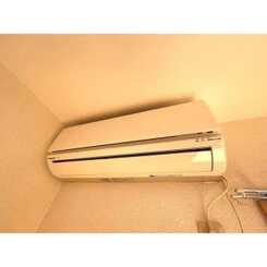 アムール ロータスのサムネイル