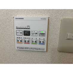 アムール　Lusterのサムネイル