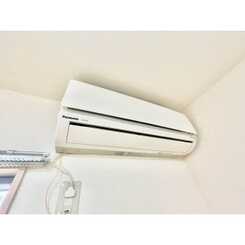 アムール　Lusterのサムネイル