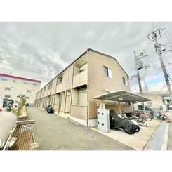 アムール　Luster