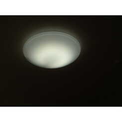 アンプルールブワデルニエのサムネイル