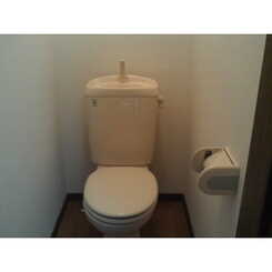 アンプルールブワデルニエのサムネイル