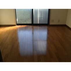 アンプルールブワデルニエのサムネイル