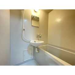 アンプルールフェールシャルマンのサムネイル