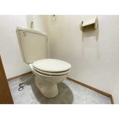 アンプルールフェールシャルマンのサムネイル