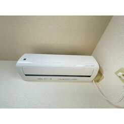 アンプルールフェールシャルマンのサムネイル