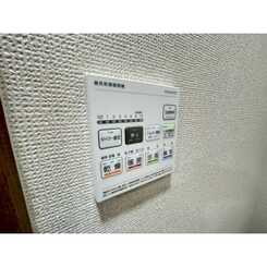 アンプルールフェールシャルマンのサムネイル