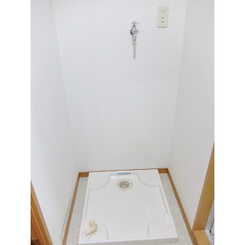 アンプルール 彩華のサムネイル